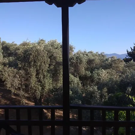 Paradise Galanos